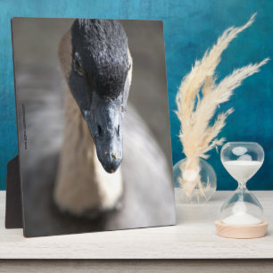 Goose Plaque
