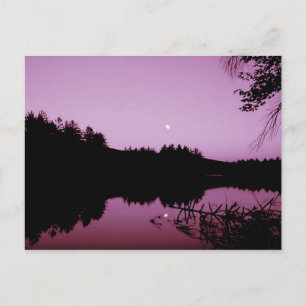 Goose Pond in the evening Postcard
