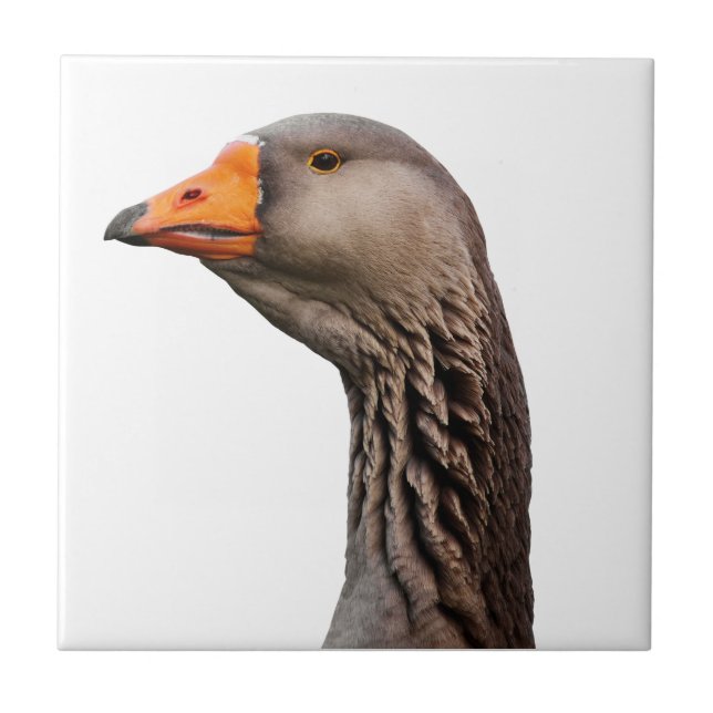 Goose portrait ceramic tile (Front)