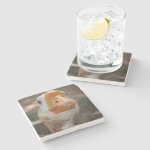 Goose Portrait Stone Coaster