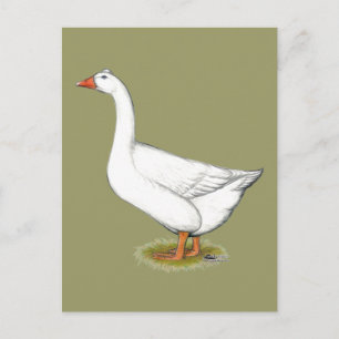 Goose Roman Tufted Postcard