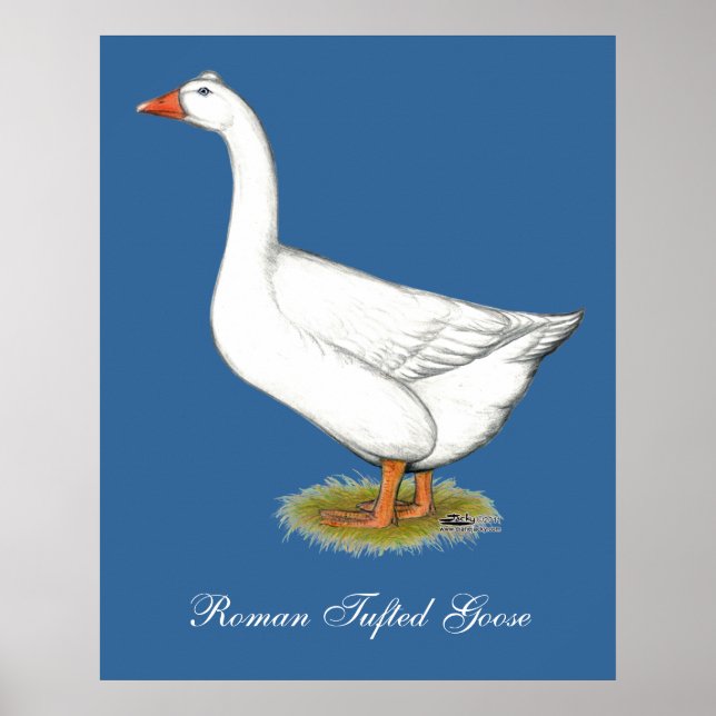 Goose Roman Tufted Poster (Front)