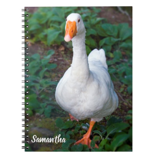 Goose Spiral notebook (Front)