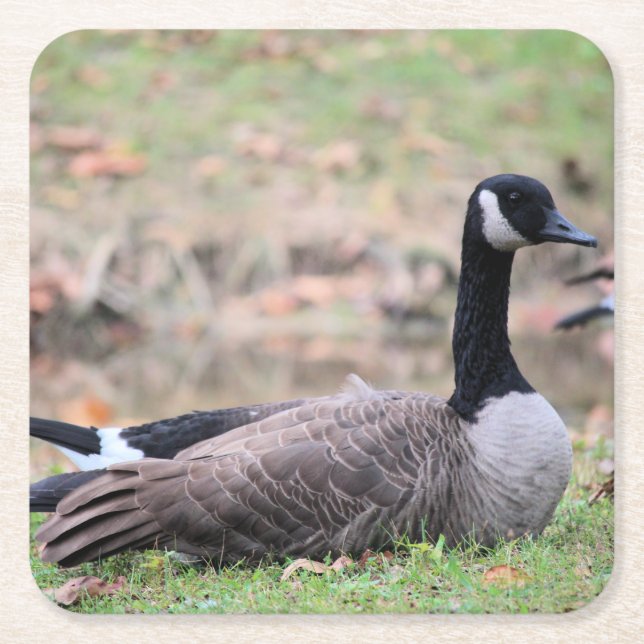 Goose Square Paper Coaster (Front)