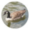 Goose Stickers