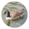 Goose Stickers
