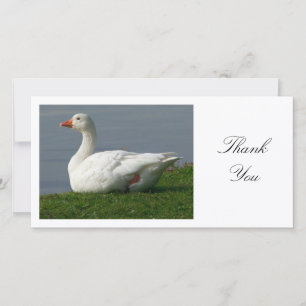 Goose - Thank You Card