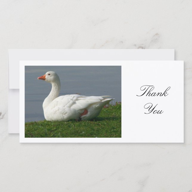 Goose - Thank You Card (Front)