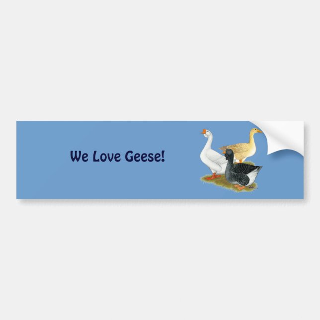 Goose Trio Bumper Sticker (Front)