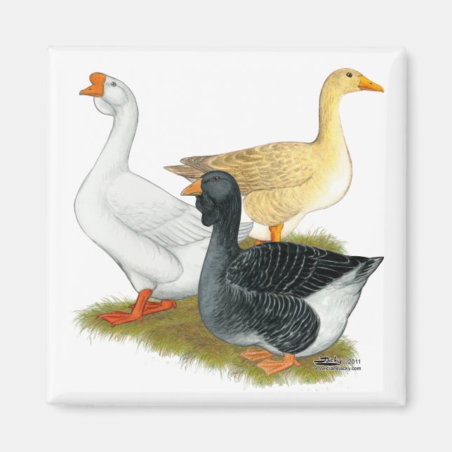 Goose Trio Magnet (Front)