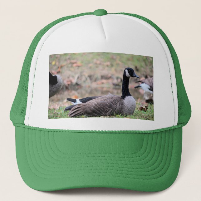 Goose      trucker hat (Front)