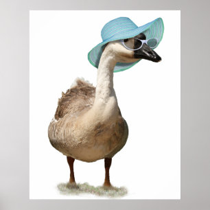 Goose with a Floppy Blue Summer Hat Poster