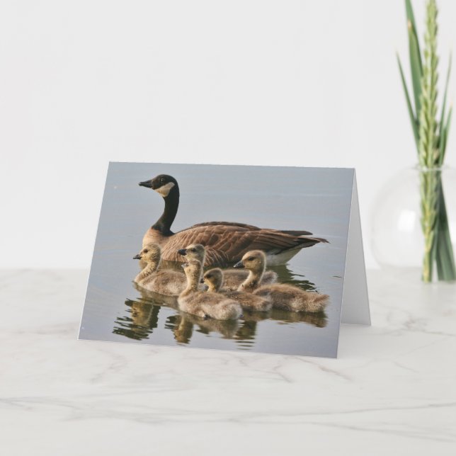 Goose with Chicks Greeting Card (Front)