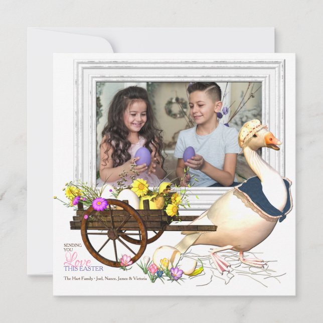 Goose with Eggs Photo Easter Card (Front)