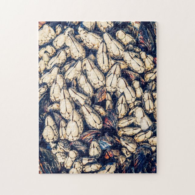 Gooseneck barnacles & mussels, BC Westcoast Jigsaw Puzzle (Vertical)