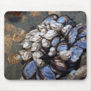 Goosenecks and Mussels Mouse Pad