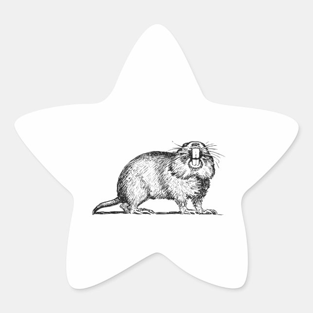 Gopher Star Sticker (Front)