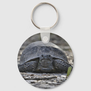 Gopher Tortoise Photo Keychain
