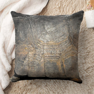 Gopher Tortoise Shell Cushion