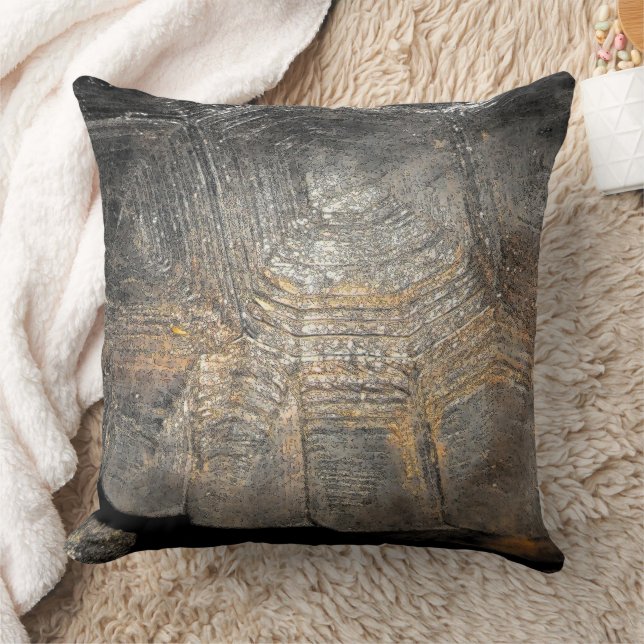 Gopher Tortoise Shell Cushion (Blanket)