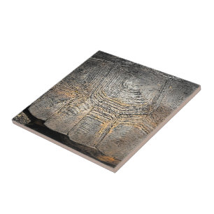 Gopher Tortoise Shell Design Tile