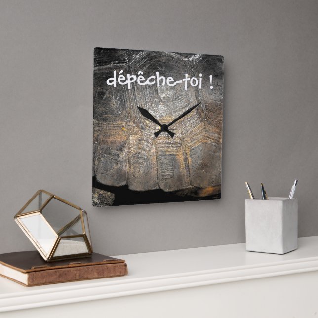 Gopher Tortoise Shell Wall Clock (Office)