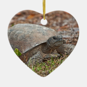 Gopher Tortoise Turtle Ceramic Tree Decoration