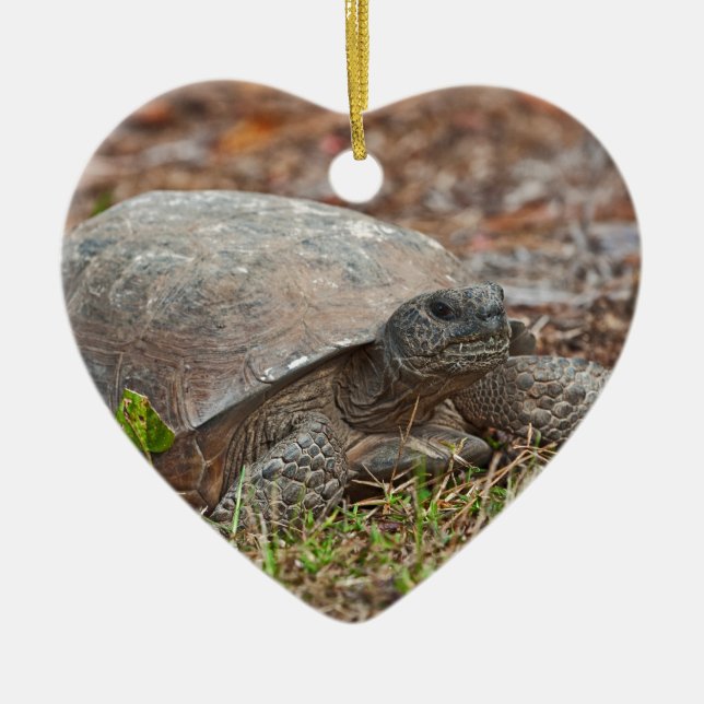 Gopher Tortoise Turtle Ceramic Tree Decoration (Front)