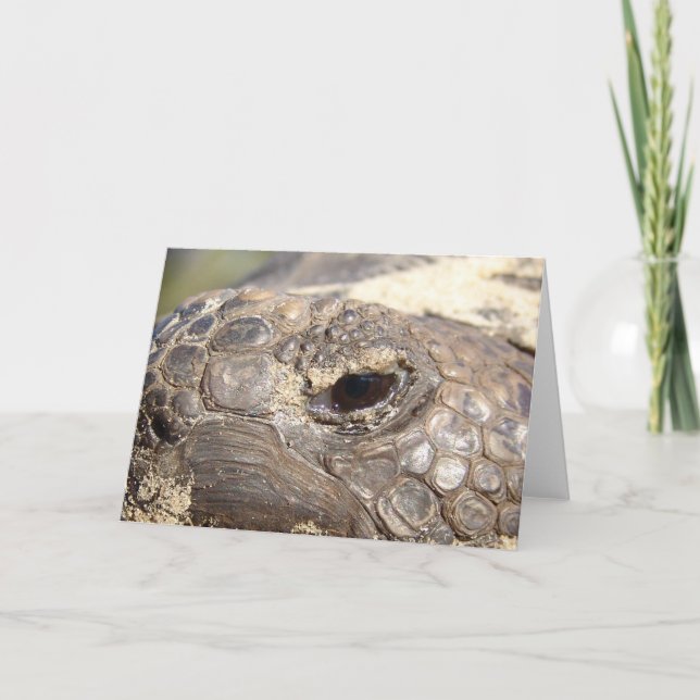 Gopher Turtle not happy Card (Front)