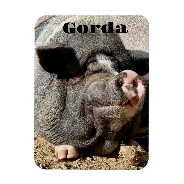 Gorda Magnet  (Vertical)