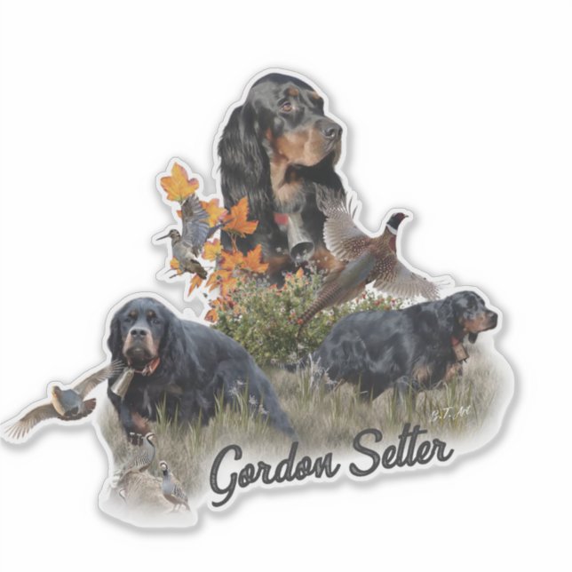 Gordon Setter  (Front)