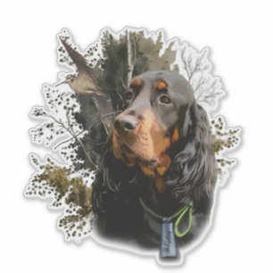 Gordon Setter 