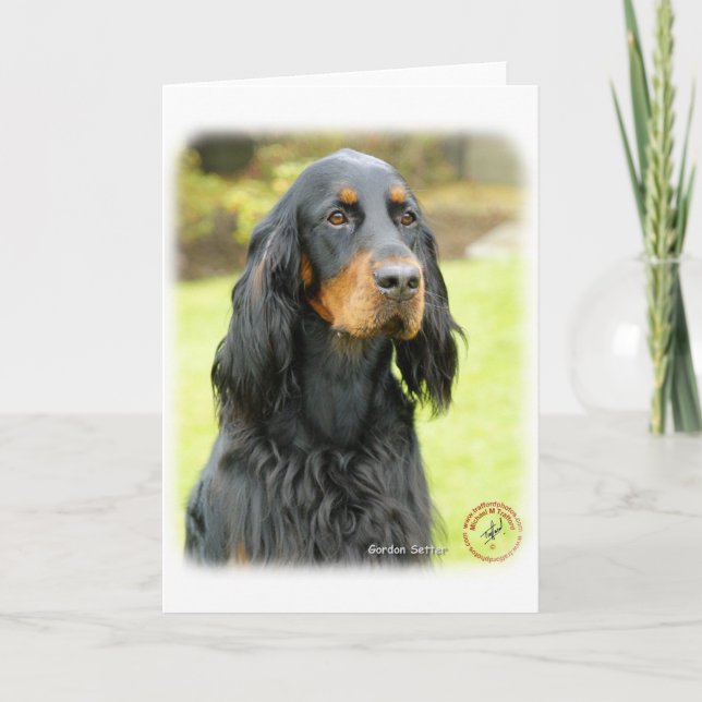 Gordon Setter 9T012D-141 Card (Front)