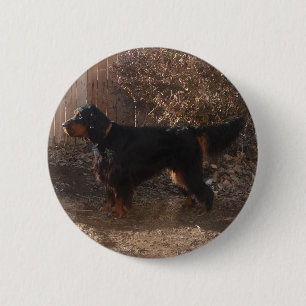 Gordon Setter Button