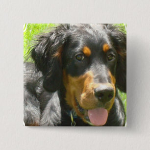 Gordon Setter Dog Pin