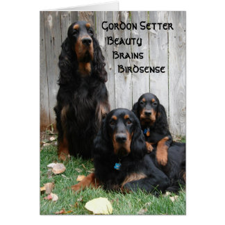 Gordon Setter Generations Note Card