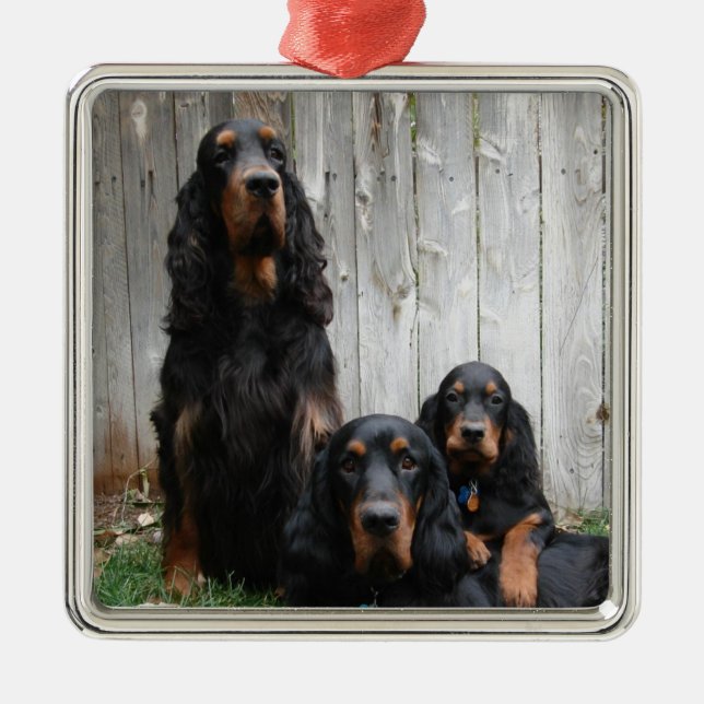 Gordon Setter Generations Photo Ornament (Front)