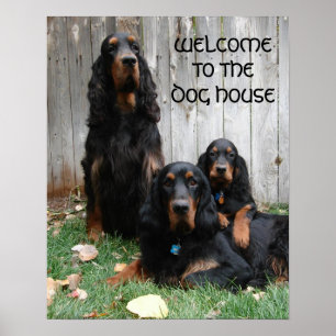 Gordon Setter Generations Poster