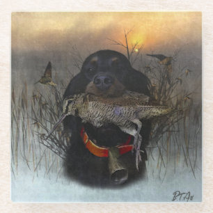 Gordon Setter Glass Coaster