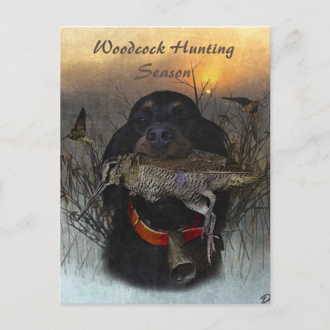 Gordon Setter  Holiday Postcard (Front)