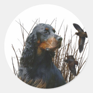 Gordon Setter , Hunting companion  Classic Round Sticker