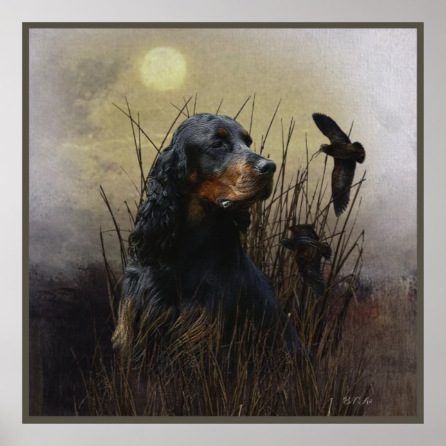 Gordon Setter , Hunting companion   Poster (Front)