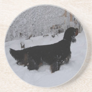Gordon Setter in a Snowstorm Sandstone Coaster