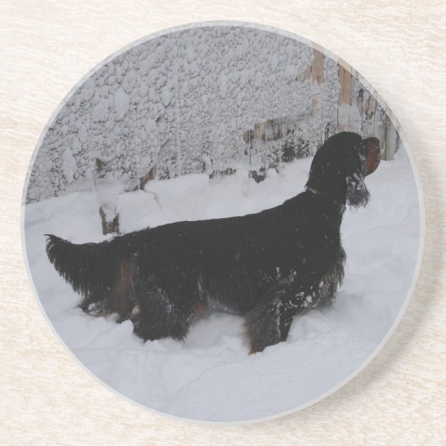 Gordon Setter in a Snowstorm Sandstone Coaster (Front)