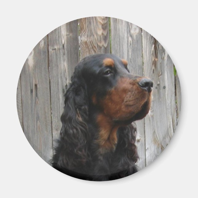 Gordon Setter Magnet (Front)