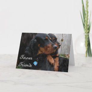 Gordon Setter Pals Friendshp Note Card