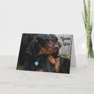Gordon Setter Pals Thank You Note Card