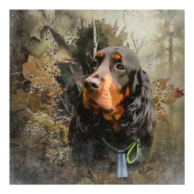 Gordon Setter  Photo Print (Front)