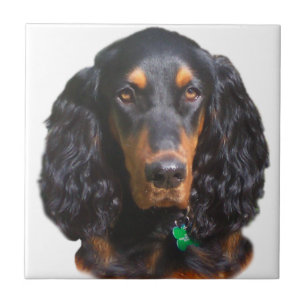 Gordon Setter Portrait Ceramic Tile