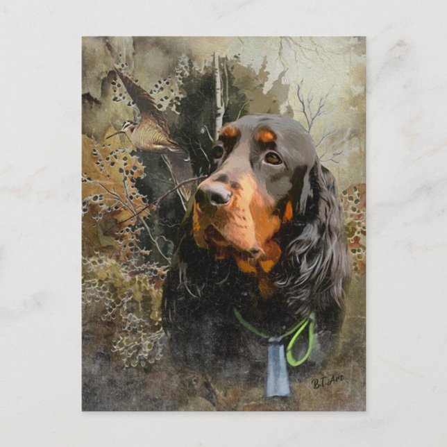 Gordon Setter  Postcard (Front)